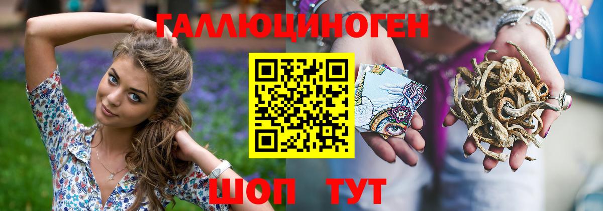 закладка  Вход с VPN  Галлюциногенные грибы прущие грибы  Волхов  Галлюциногенные грибы Psilocybe 